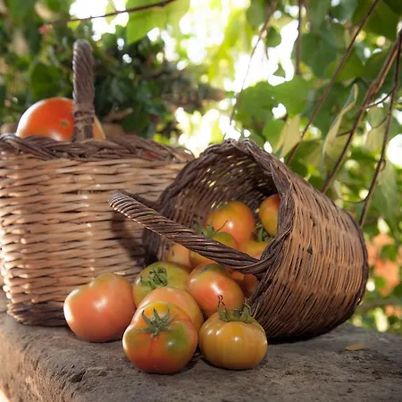 Country house Perola - Only Adults