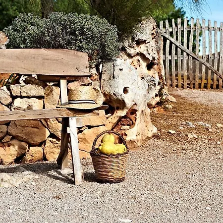 Country house Perola - Only Adults